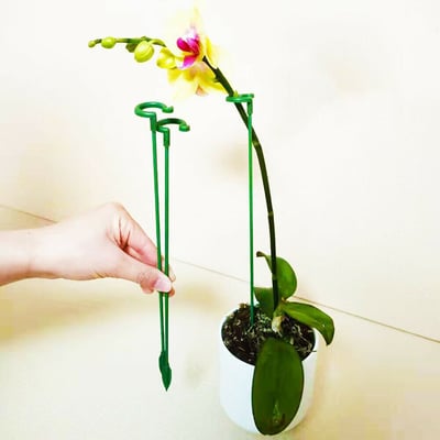 🔥HOT SALE - 49% OFF🔥Plant Support Stake