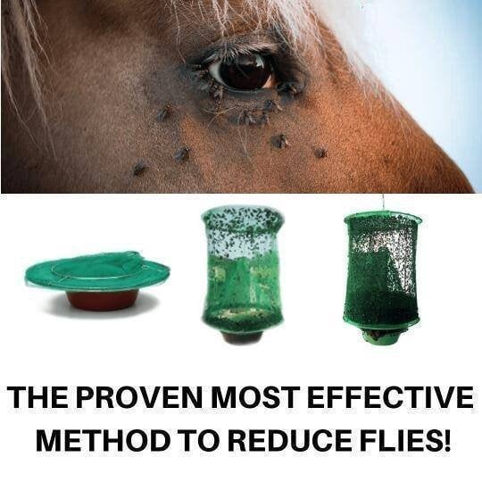 Hot Sale🔥 - Reusable Ranch Fly Trap