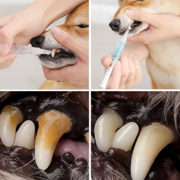 💖Natural Plant Substance - Cat & Dog Teeth Repairing Kit