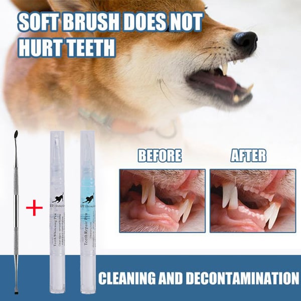 💖Natural Plant Substance - Cat & Dog Teeth Repairing Kit