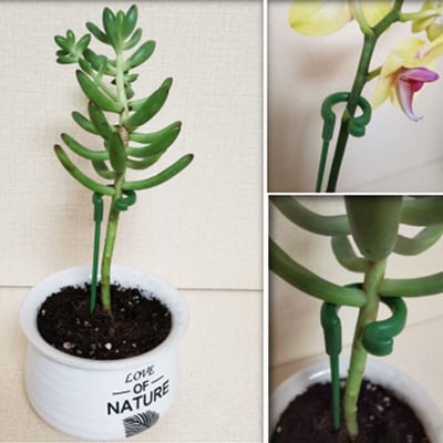 🔥HOT SALE - 49% OFF🔥Plant Support Stake