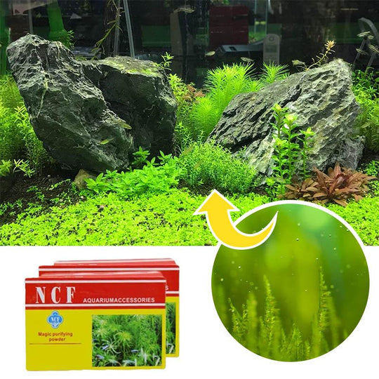 Aquarium Purifying Powder【3 Day Delivery&Cash on delivery-HOT SALE-45%OFF🔥】