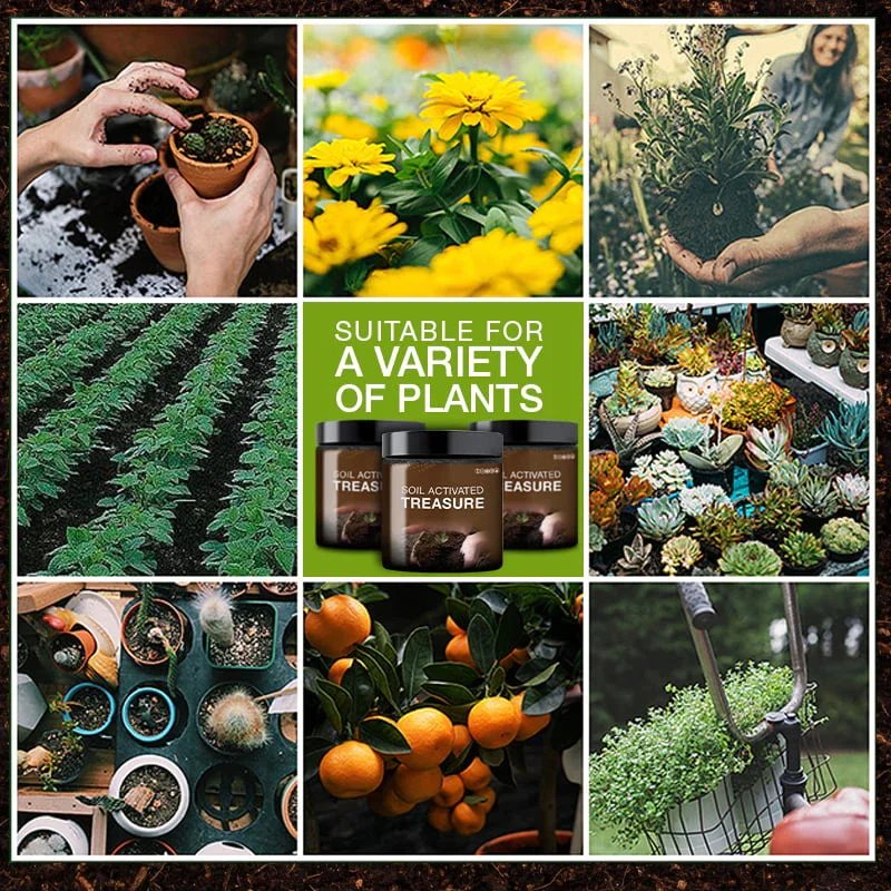 U.S. Soil Activated Treasure【3 Day Delivery&Cash on delivery-HOT SALE-48%OFF🔥】