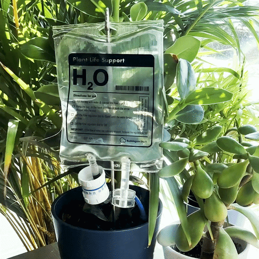 Plant LIFE SUPPORT【HOT SALE-49%OFF🔥】