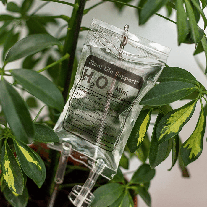 Plant LIFE SUPPORT【HOT SALE-49%OFF🔥】