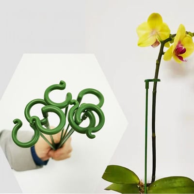 🔥HOT SALE - 49% OFF🔥Plant Support Stake