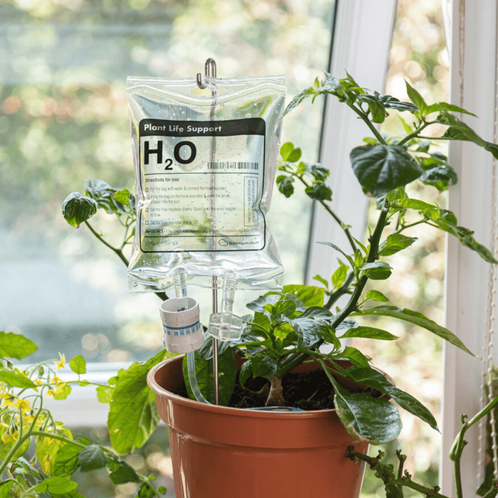 Plant LIFE SUPPORT【HOT SALE-49%OFF🔥】