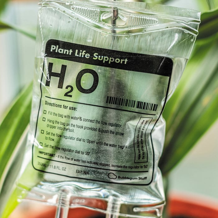 Plant LIFE SUPPORT【HOT SALE-49%OFF🔥】