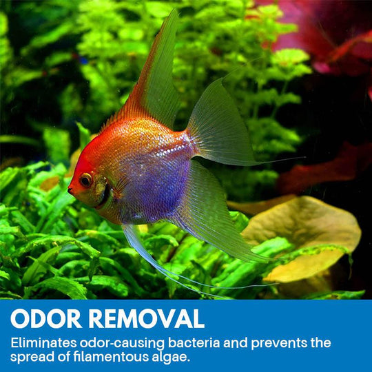 Aquarium Purifying Powder【3 Day Delivery&Cash on delivery-HOT SALE-45%OFF🔥】
