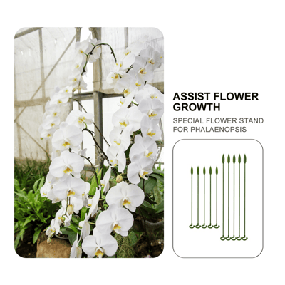 🔥HOT SALE - 49% OFF🔥Plant Support Stake