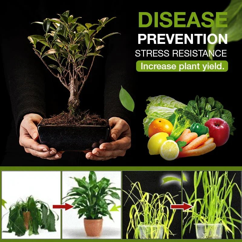 U.S. Soil Activated Treasure【3 Day Delivery&Cash on delivery-HOT SALE-48%OFF🔥】