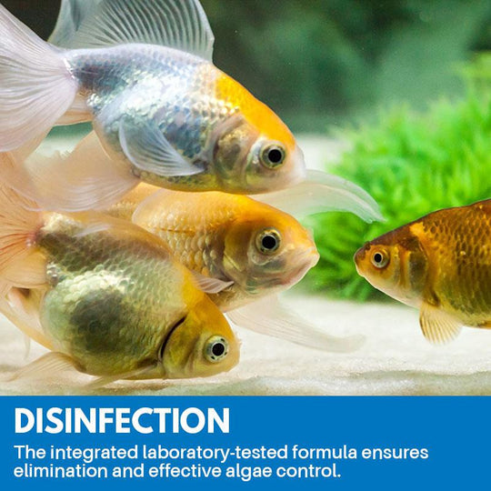 Aquarium Purifying Powder【3 Day Delivery&Cash on delivery-HOT SALE-45%OFF🔥】