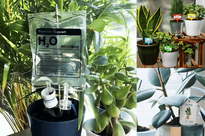 Plant LIFE SUPPORT【HOT SALE-49%OFF🔥】