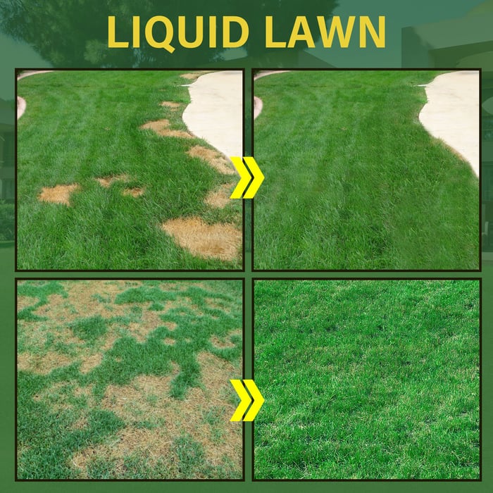 🔥Last Day Save 45% 0FF -🧊Hot Sale Green Grass Lawn Spray