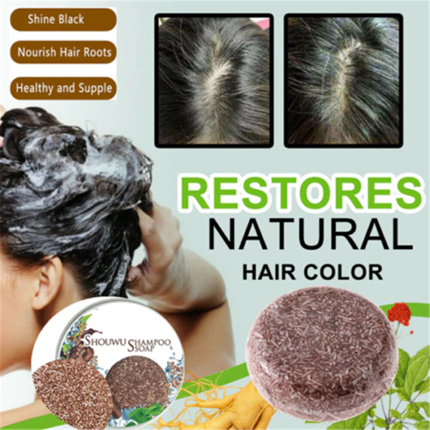 HAIR DARKENING SHAMPOO BAR